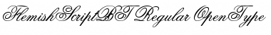 Flemish Script Regular Font