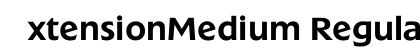 ExtensionMedium Regular preview
