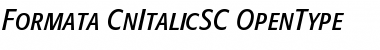 Formata Condensed Italic SC Font