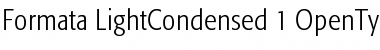 Formata Light Condensed Font