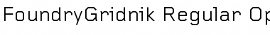 Download FoundryGridnik Font