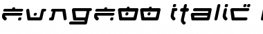 FungFoo Italic Font