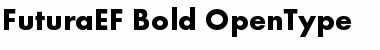 FuturaEF Bold Font
