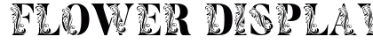 Flower Display Demo Regular preview