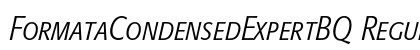 FormataCondensedExpertBQ Regular preview
