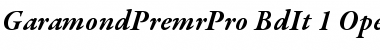 Garamond Premier Pro Bold Italic Font