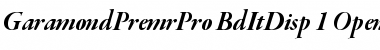 Garamond Premier Pro Bold Italic Display Font