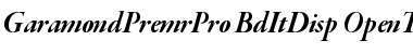 Garamond Premier Pro Bold Italic Display Font