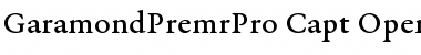 Download Garamond Premier Pro Font