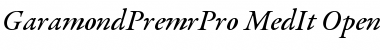 Garamond Premier Pro Medium Italic Font
