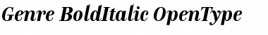 Genre Bold Italic Font