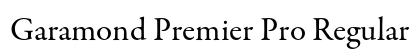 Garamond Premier Pro Regular Preview