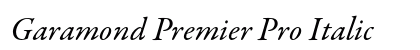 Garamond Premier Pro Italic Preview