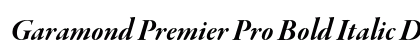 Garamond Premier Pro Bold Italic Display Preview