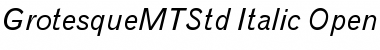 Grotesque MT Std Italic Font