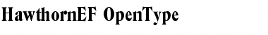 Download HawthornEF Font Download HawthornEF Font