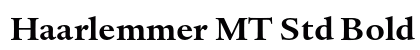 Haarlemmer MT Std Bold preview