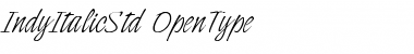 Download Indy Italic Std Font