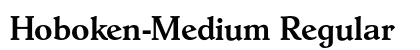 Hoboken-Medium Regular preview