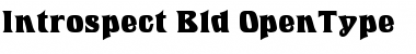 Introspect Bold Font