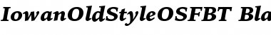 Bitstream Iowan Old Style Black Italic OSF Font