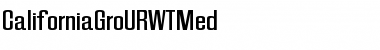 CaliforniaGroURWTMed Regular Font