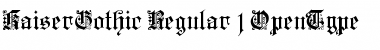 KaiserGothic Regular Font