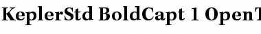 Kepler Std Bold Caption Font