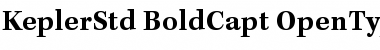 Kepler Std Bold Caption Font