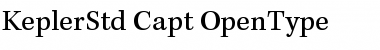 Kepler Std Caption Font