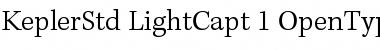 Kepler Std Light Caption Font