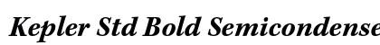 Kepler Std Bold Semicondensed Italic Caption Preview