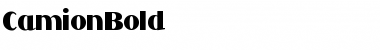 Download CamionBold Font