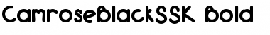 CamroseBlackSSK Bold Font