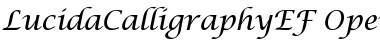 LucidaCalligraphyEF Font