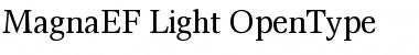 MagnaEF Light Font