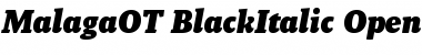 Malaga OT Black Italic Font