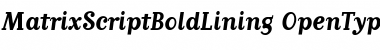 MatrixScriptBoldLining Regular Font