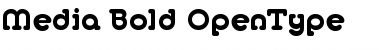 Media-Bold Regular Font
