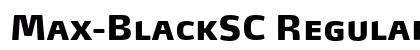 Max-BlackSC Regular preview