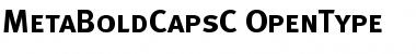 MetaBoldCapsC Regular Font