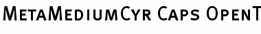 MetaMediumCyr-Caps Regular Font