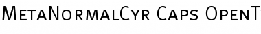 Download MetaNormalCyr-Caps Font