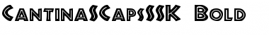 Download CantinaSCapsSSK Font