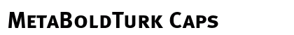 MetaBoldTurk Caps preview