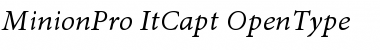 Minion Pro Italic Caption Font
