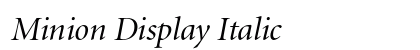Minion Display Italic Preview
