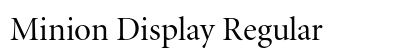 Minion Display Regular Preview