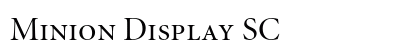 Minion Display SC Preview
