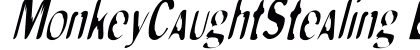 MonkeyCaughtStealing ElongOblique Preview